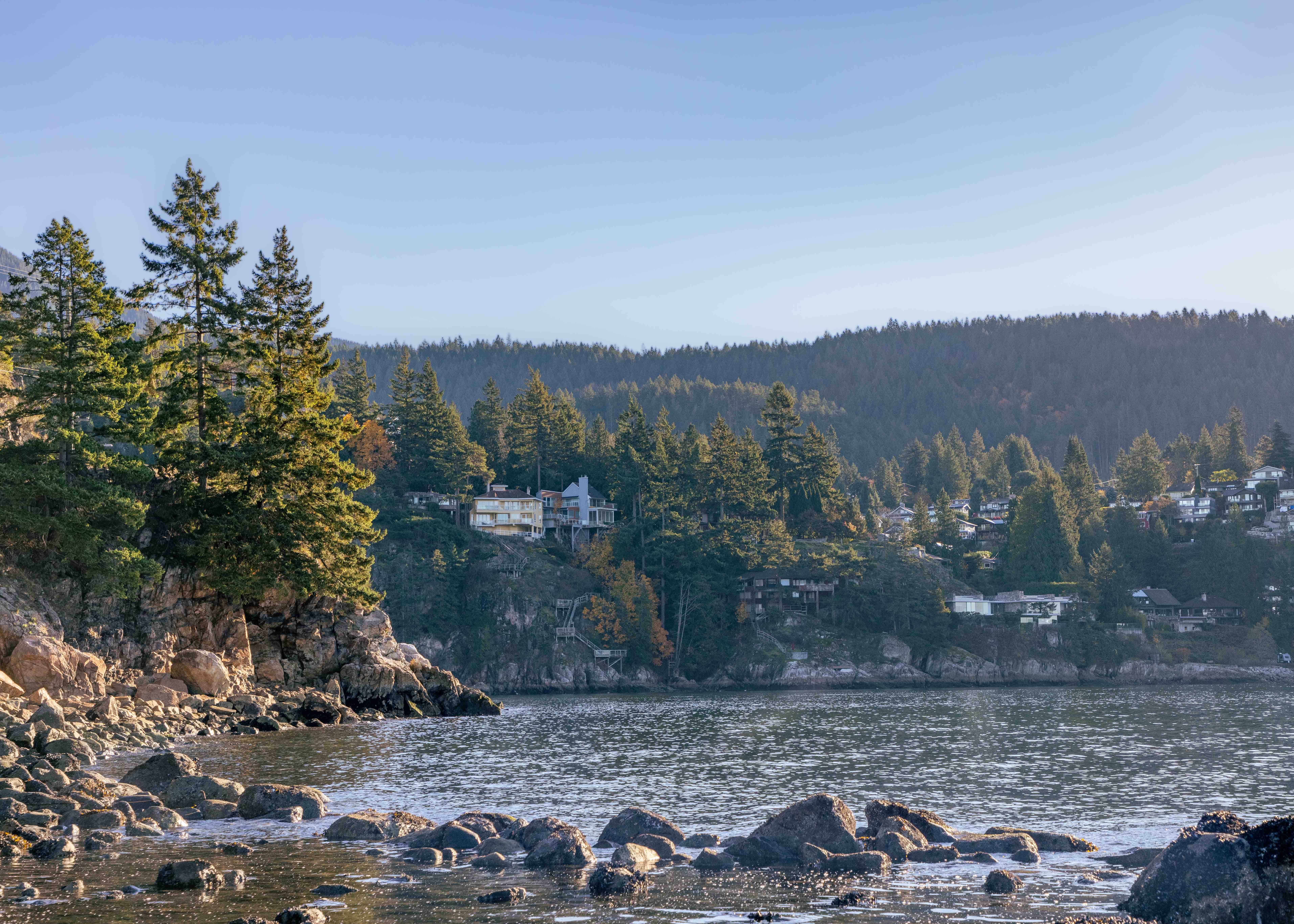 Humans greatly benefit from the ecosystem services that marine parks like Whytecliff provide. West Vancouver’s intertidal zones alone provide an estimated $549 million worth of ecosystem services annually.