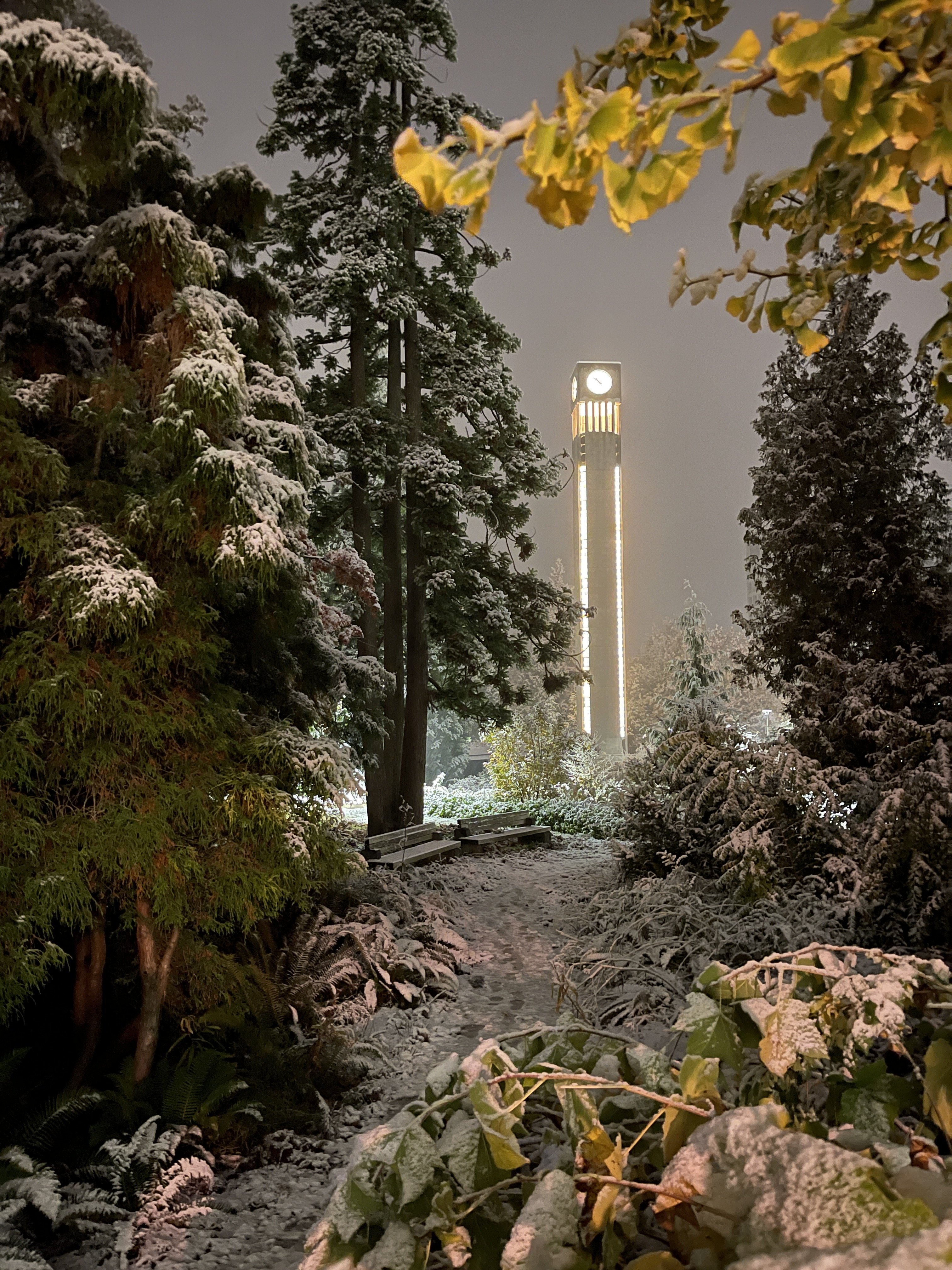 Ladner Clock Tower shines in the dark through the snowfall.