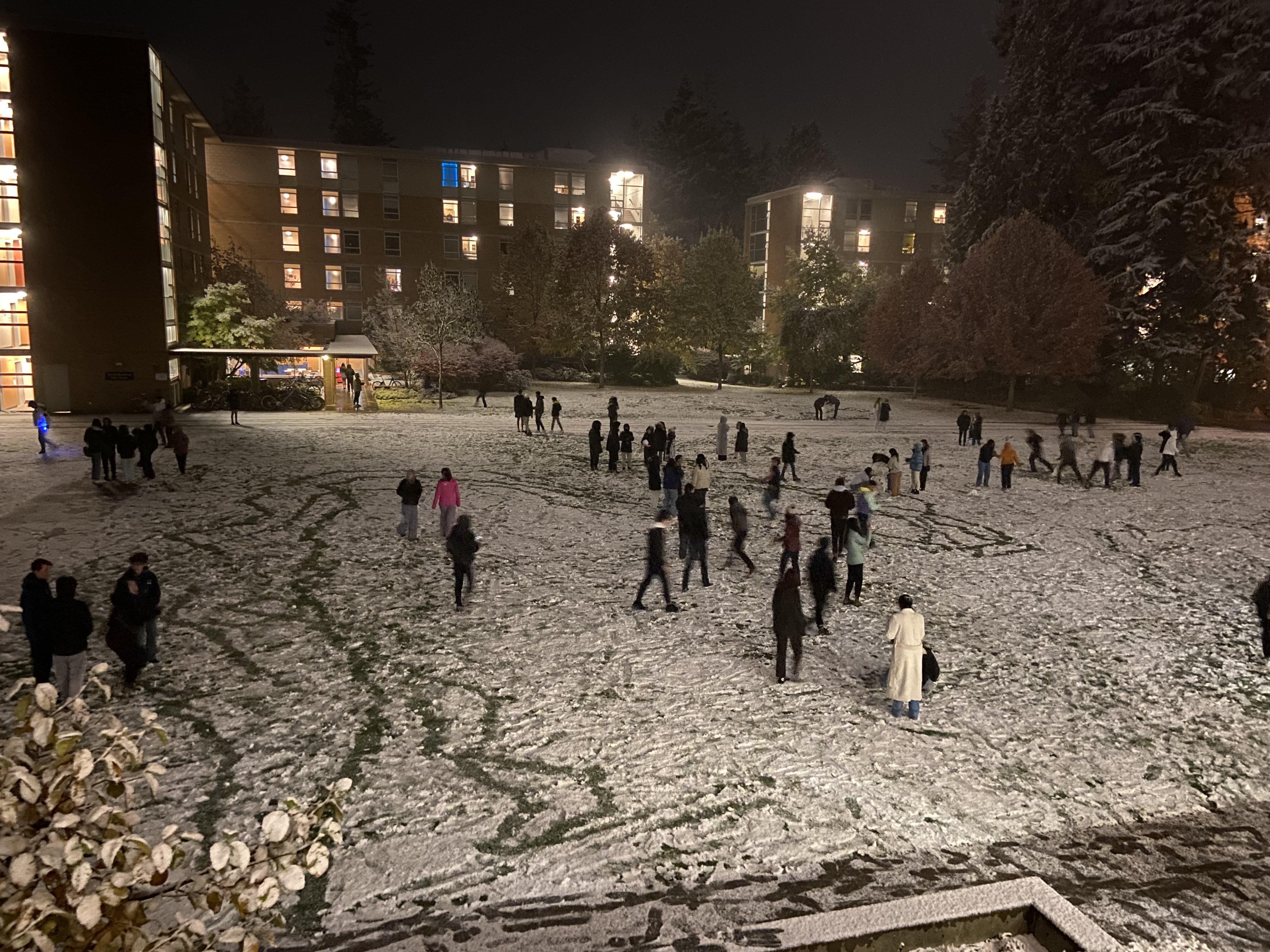 Students play in the snow as it falls on the Place Vanier lawn on November 7.